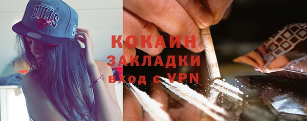 твердый Богородск