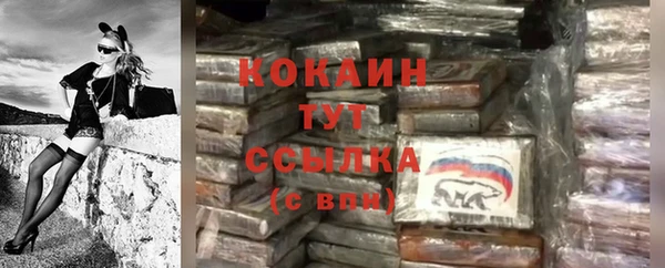 твердый Богородск