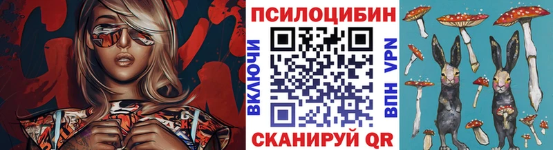Галлюциногенные грибы мухоморы  хочу наркоту  Болотное 